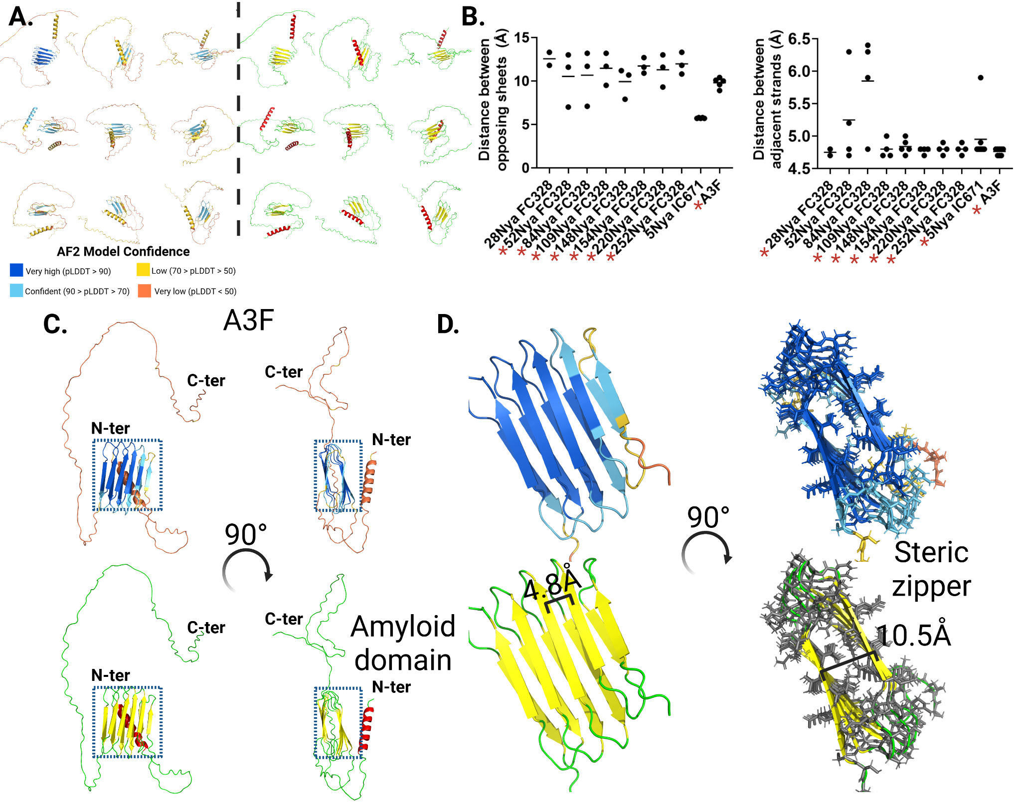 Structural models and analyses highlighting an amyloid domain in MSP2 and related structural features.