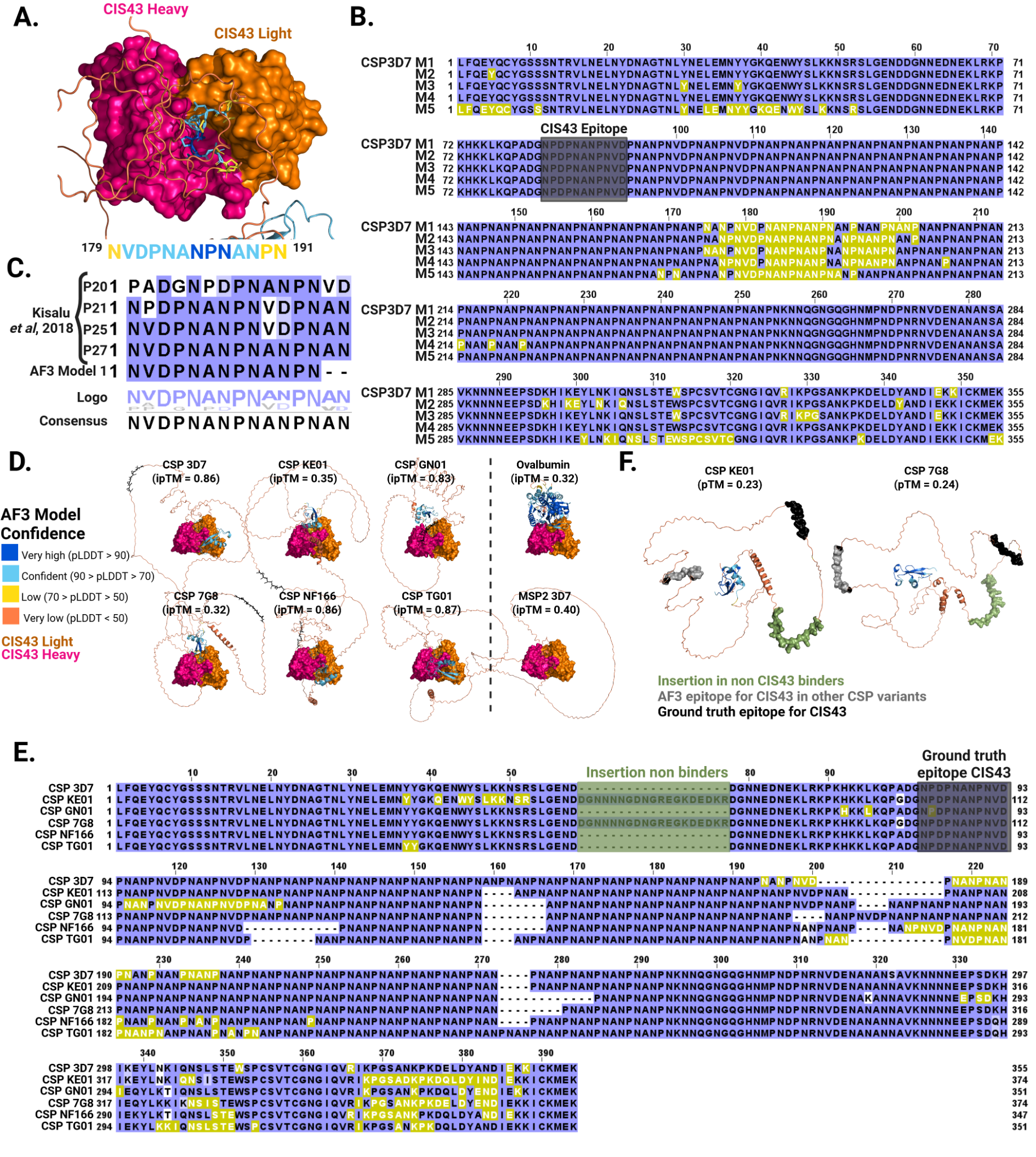 Structural view of CIS43 antibody binding to CSP repeat region and sequence alignment highlighting epitope features.